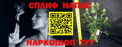 каннабис Будённовск