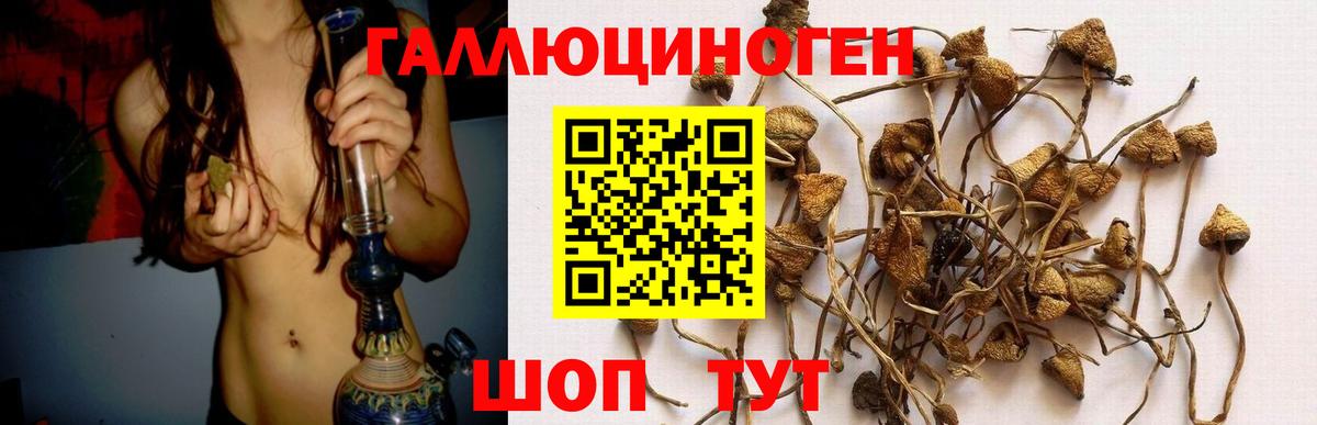 Псилоцибиновые грибы прущие грибы Реж